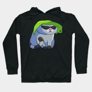 Cat With Shades #1 Hoodie